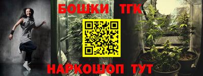 тгк Можга