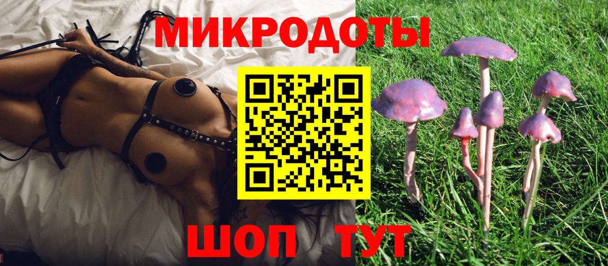 Петропавловск-Камчатский  Галлюциногенные грибы Psilocybe  Вход с VPN 