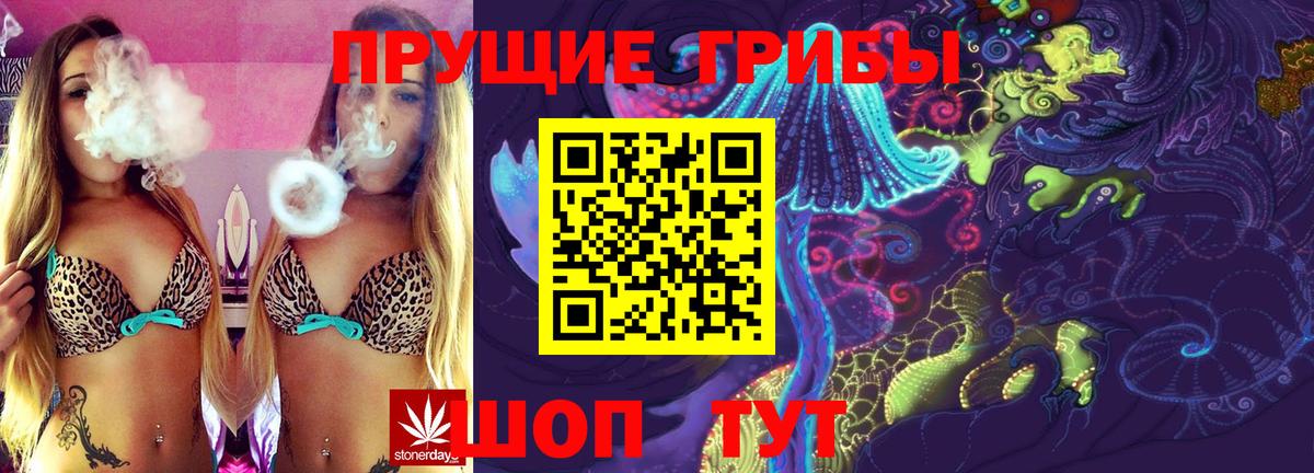 Псилоцибиновые грибы GOLDEN TEACHER Петропавловск-Камчатский